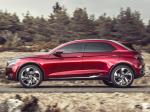 DS Wild Rubis Concept 2013 года